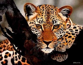 "Leopard"