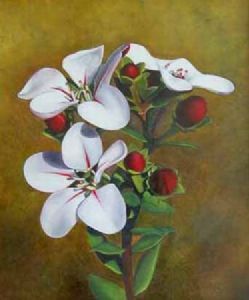 "Flowers"