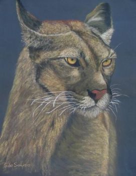 "Puma"