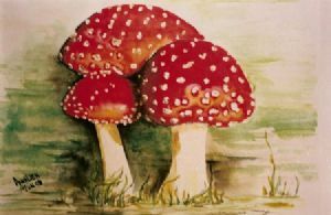 "Spotted Mushrooms"