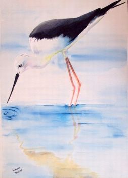 "Water Bird"