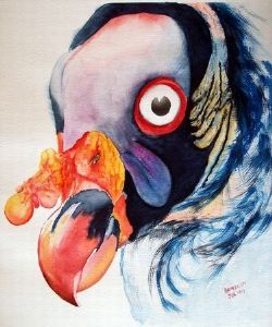 "Vulture"