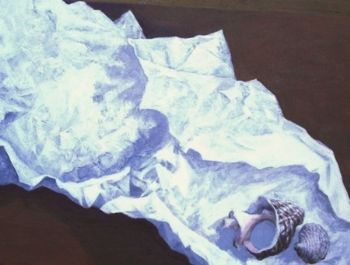 "Shell"