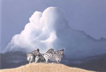 "Coming Storm"