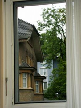 "Window Scene"