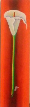 "Warm Arum 2"