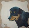 "A Dog called Rambo"