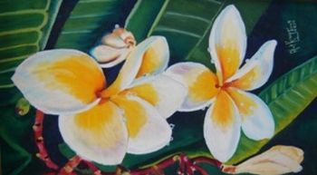 "Frangipani"