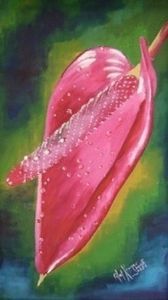 "Anthurium"