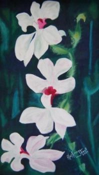 "Orchids"
