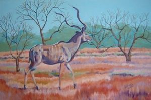 "Kudu Bull"