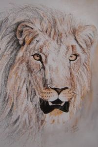 "Lion 4"
