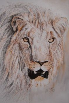 "Lion 4"
