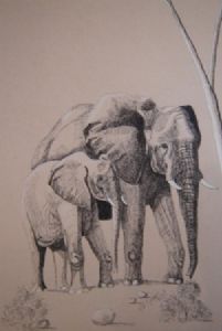 "Elephant Cow and Calf"