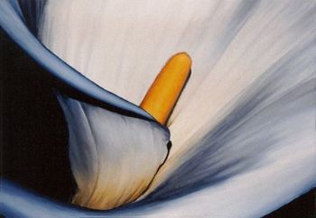 "Lily I"