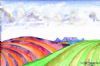 "Durbanville Hills"