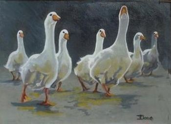 "Geese at Dawn Arrival"