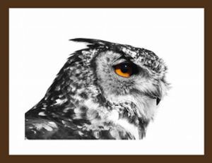 "Eagle Owl"