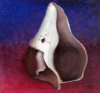 "Shell"