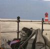 "Betty and the Lighthouse"
