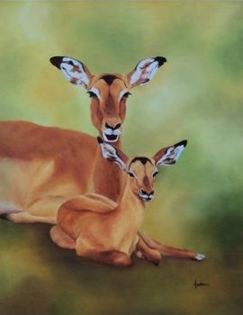 "Impala Portrait"