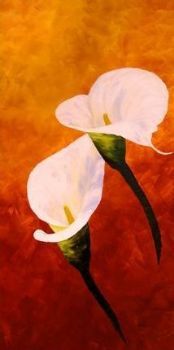 "Arum Lilies 4"