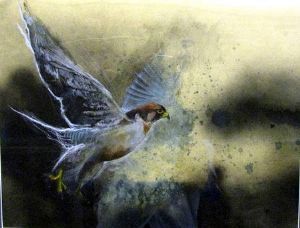 "Lanner Falcon"