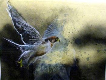 "Lanner Falcon"