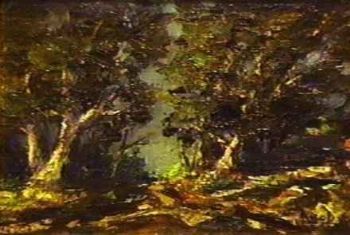 "Mist in the Forest (1)"