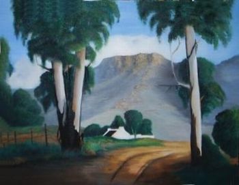 "gum trees"