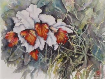 "Orchid Delight"