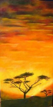 "Acacia with Sunset"