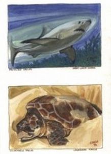 "Endangered Sealife 4 Paintings Set"