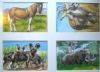 "Endangered Wildlife 2 Set of 4"