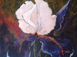 "Iris"