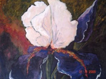 "Iris"