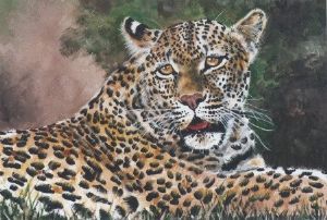 "Leopard Relaxing"