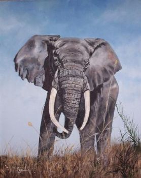 "Majestic"