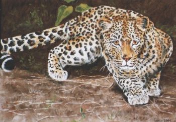"Stalking Prey"