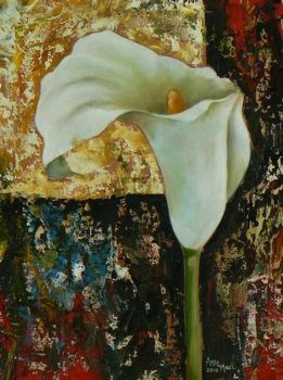 "arum"