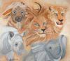 "Big 5 Wild Animals"