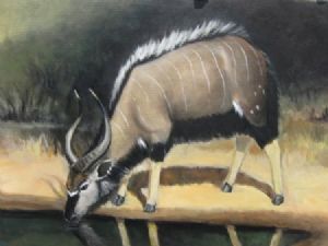"njala"