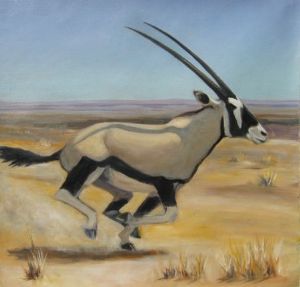 "Gemsbok"