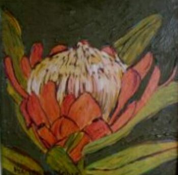 "Fynbos 14, Grasveld Suikerbos"