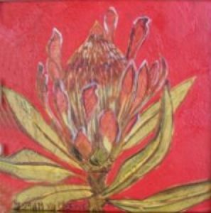 "Fynbos 20, Lepelsuikerbos"