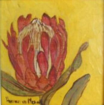 "Fynbos 24, Protea Susannae"