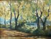 "Edge Of The Forest"