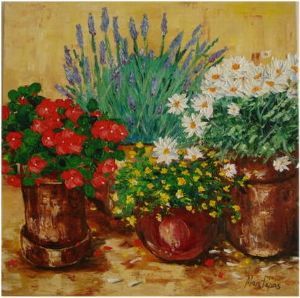 "Beautiful Pot Plants"
