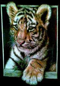 "Curious Tiger Cub"