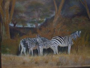"Zebras"